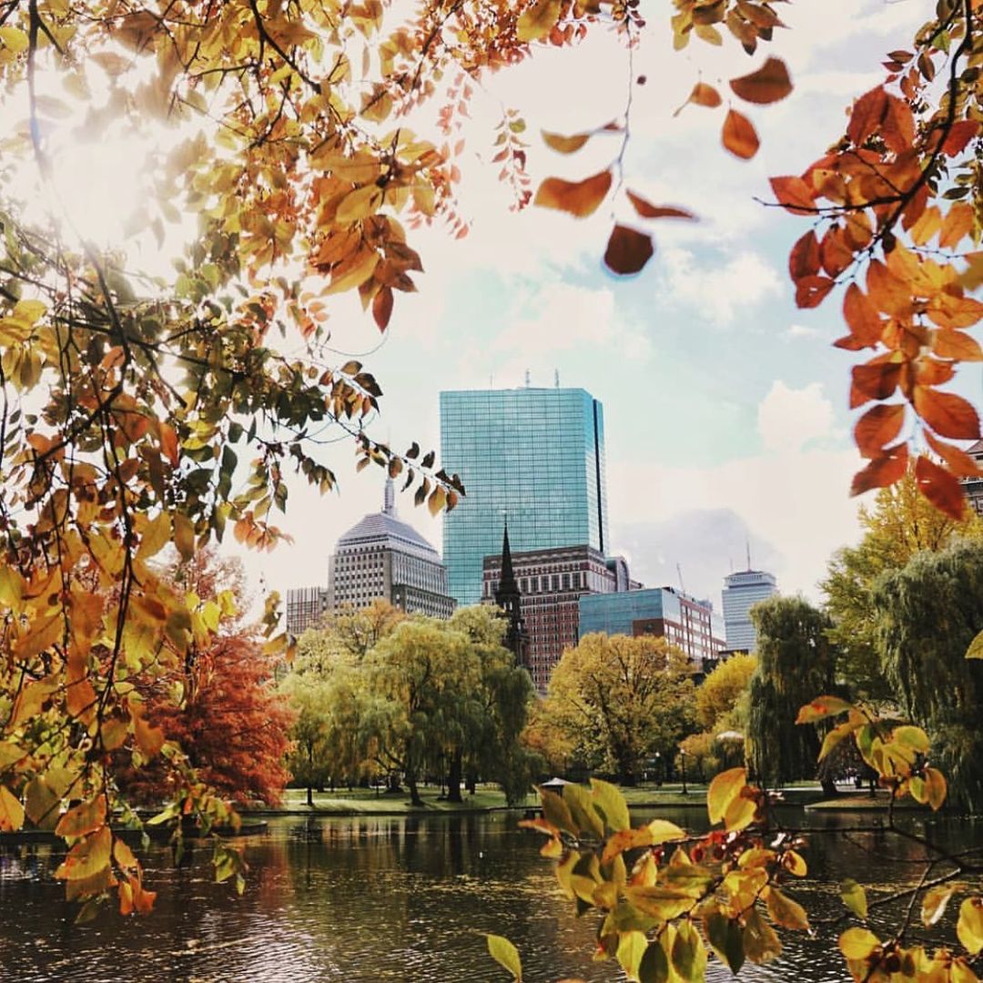 Downtown Boston in the Fall, Boston Public Garden, Boston Common, Boston Events