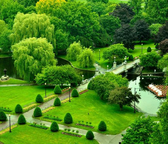 A view of the Boston Gardens from the Newbury Boston.