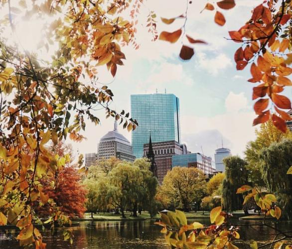 Downtown Boston in the Fall, Boston Public Garden, Boston Common, Boston Events