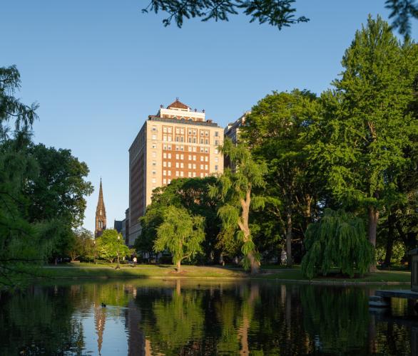 The Public Garden in Boston