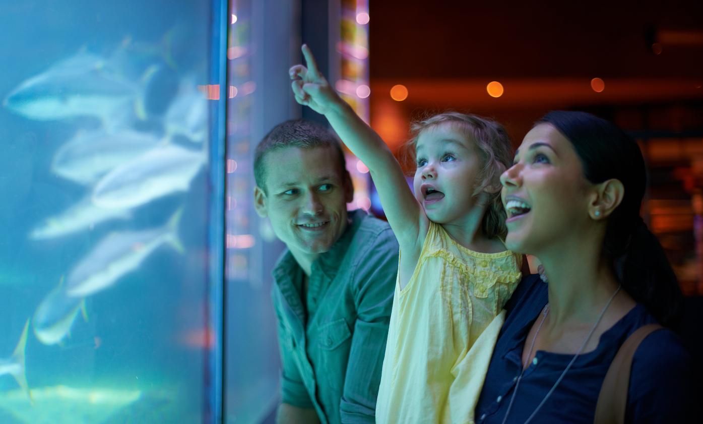 A family at the Boston Aquarium near The Newbury Boston