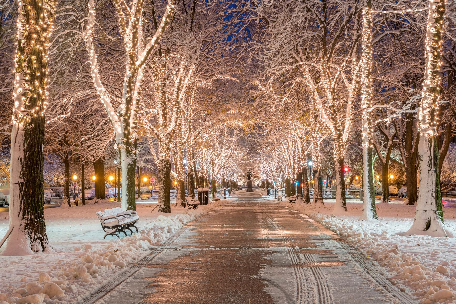 Commonwealth Avenue Mall next to The Newbury Boston