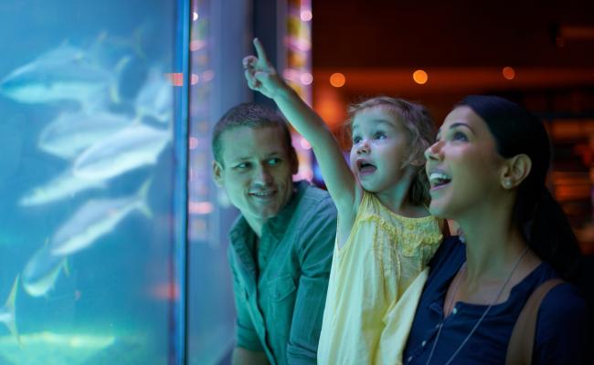 A family at the Boston Aquarium near The Newbury Boston