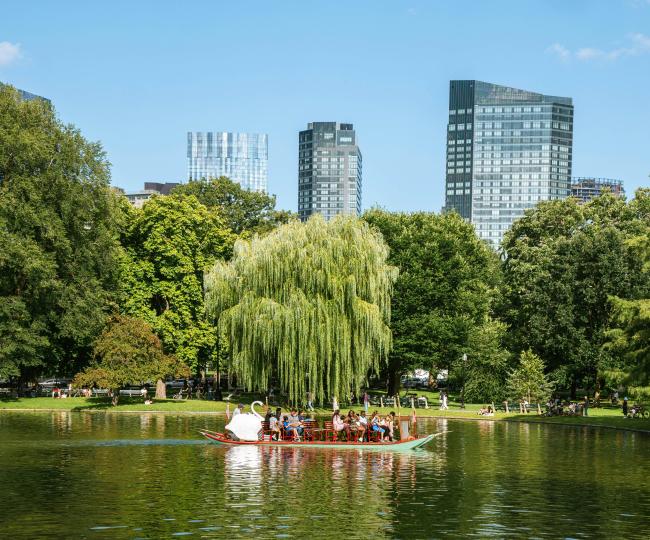 Spring Swan Boat